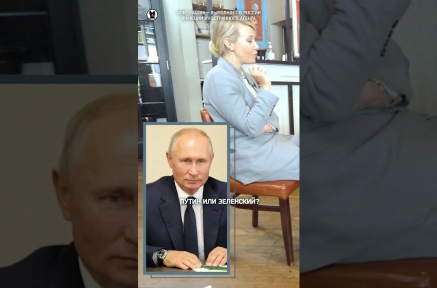  Путин или Зеленский? Отвечает Кашин #собчак #путин #кашин
