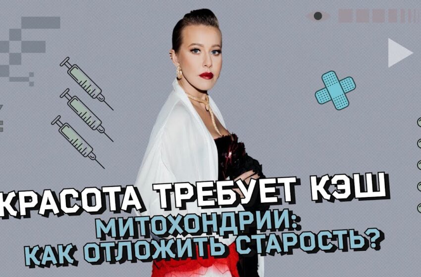  Как митохондрии связаны со здоровьем и продолжительностью жизни? Как молодеть, затаив дыхание?