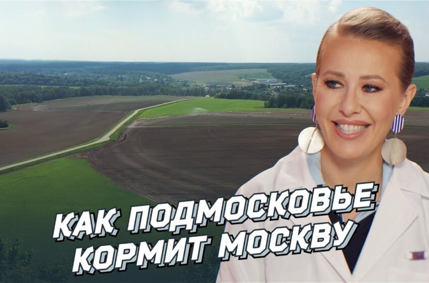  Как Подмосковье кормит Москву – Фермеры. Аграрии. Инновации.