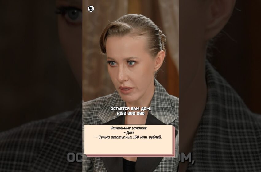  Елена Товстик — условия развода с Романом Товстиком #собчак #товстик