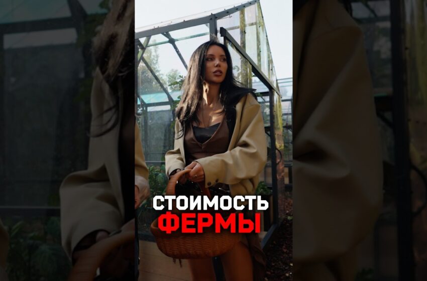  Ферма Оксаны Самойловой: цена и история покупки